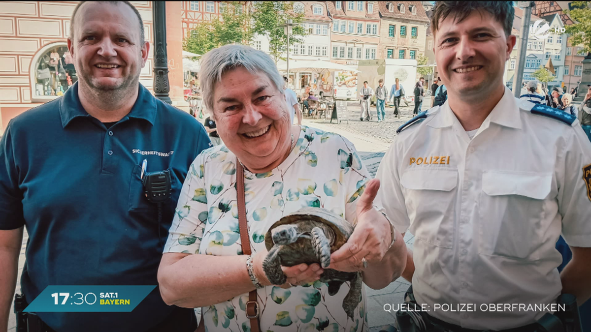 Ausbruch gescheitert: 100-jährige Schildkröte bleibt im Zaun stecken