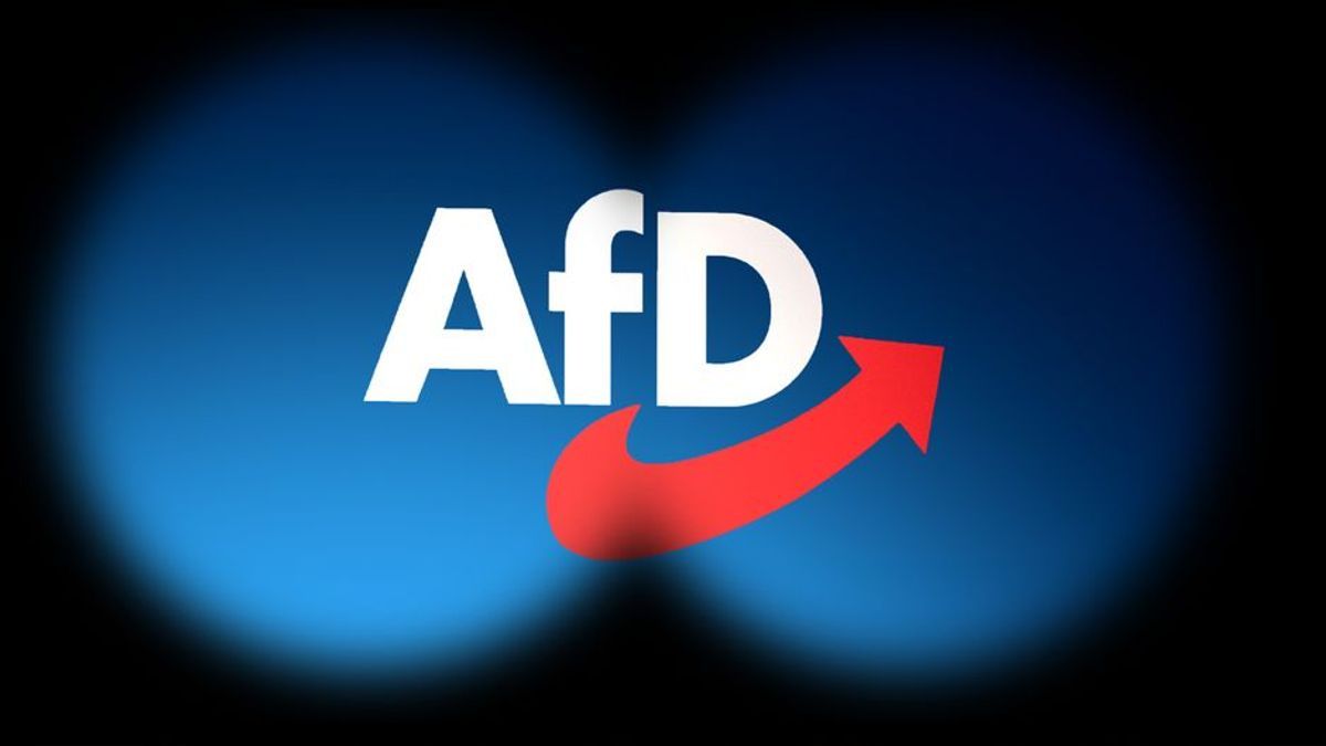 AfD wegen Millionen-Spende unter Druck