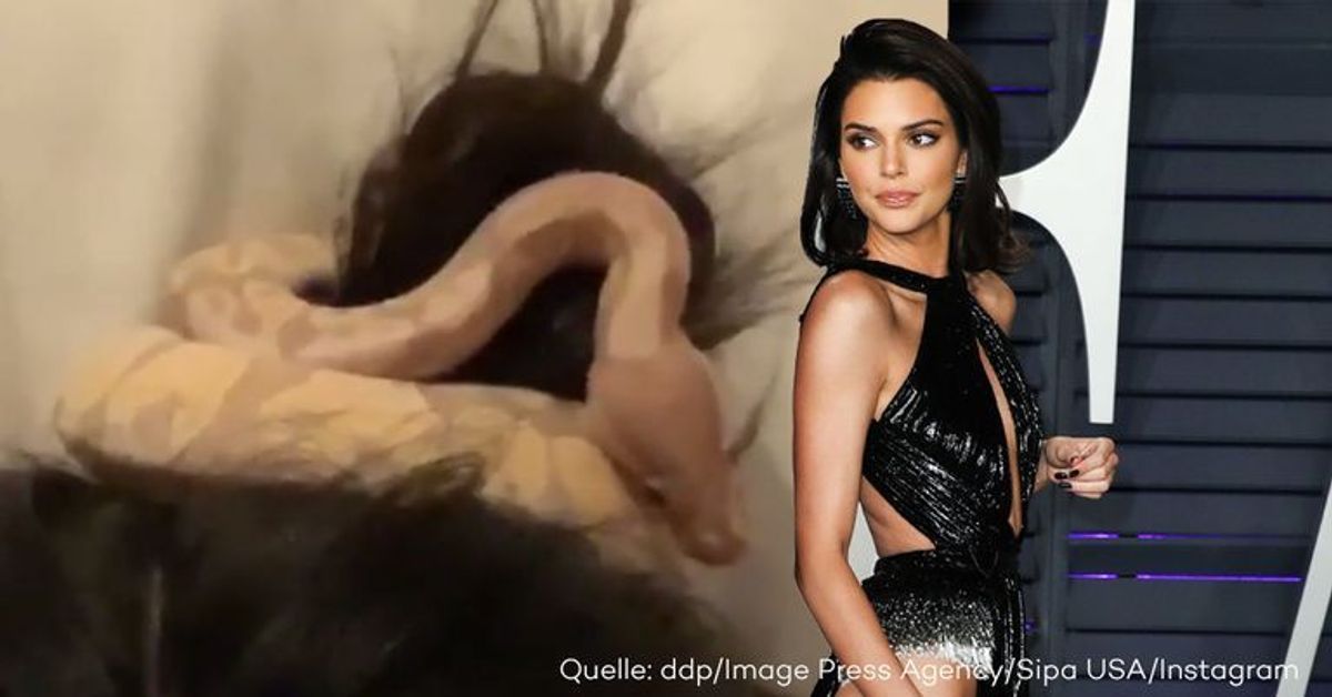 Snake-Print mal anders: Kendall Jenner trägt Schlange als Zopfgummi!