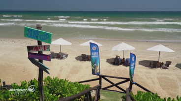 Beach-Bar in Belize: Der magische Echsensaft als Sundowner