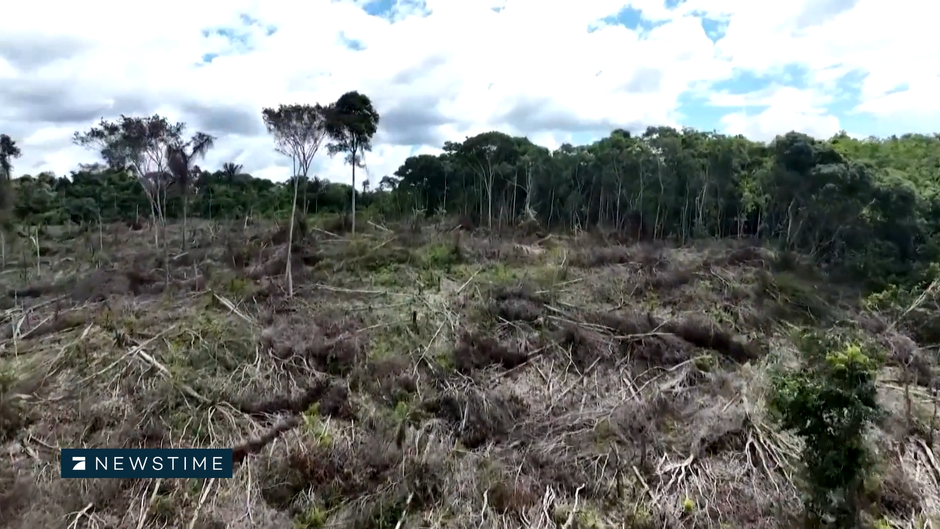 Regenwald in Gefahr: So will Brasilien die Abholzung im Amazonasgebiet stoppen