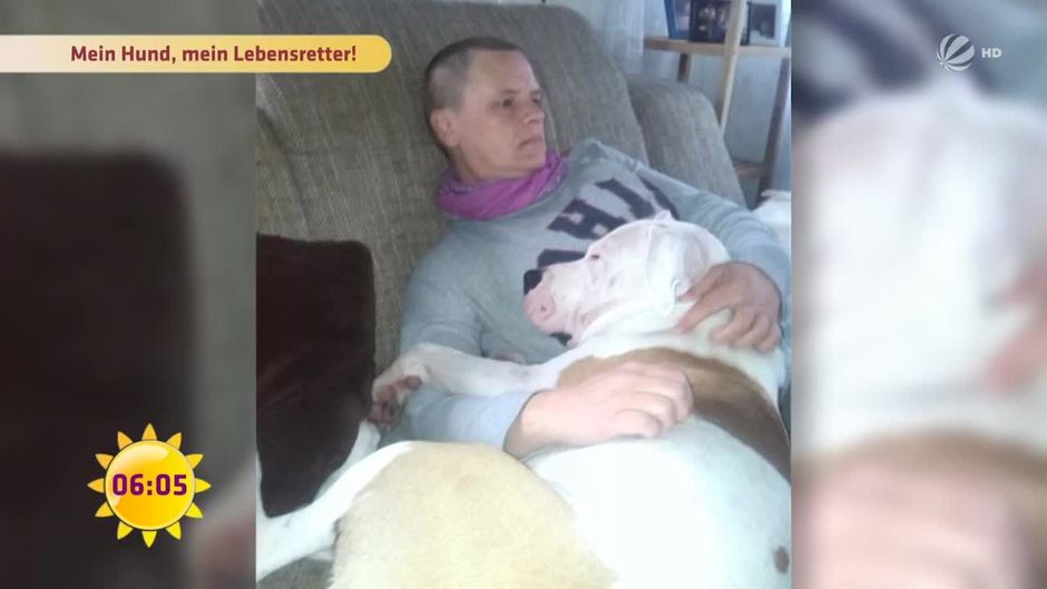 Hirntumor Ihr Hund hat dieser Frau das Leben gerettet!