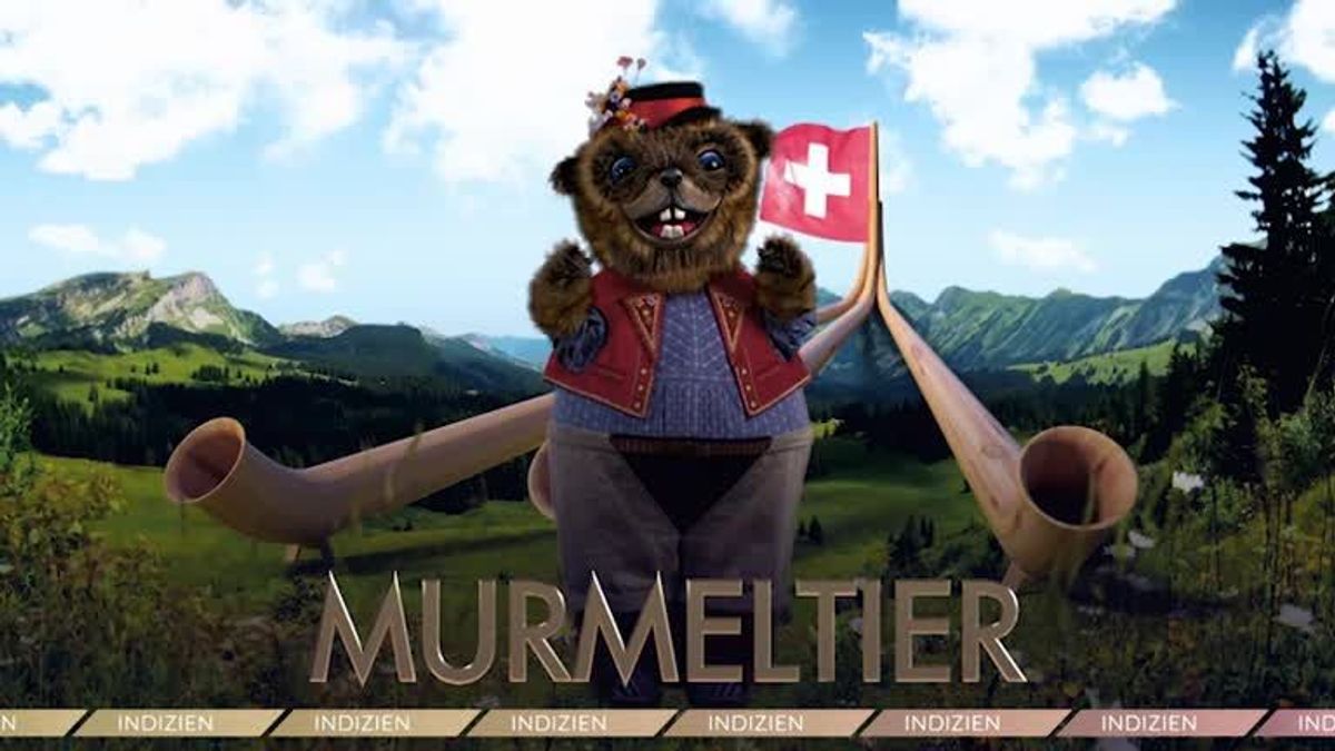 TMS_Indizien_Murmeli