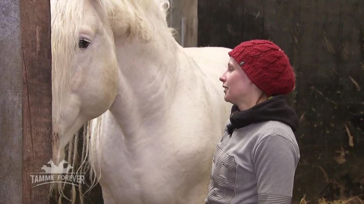 Neues vom Hankenhof - Tamme forever