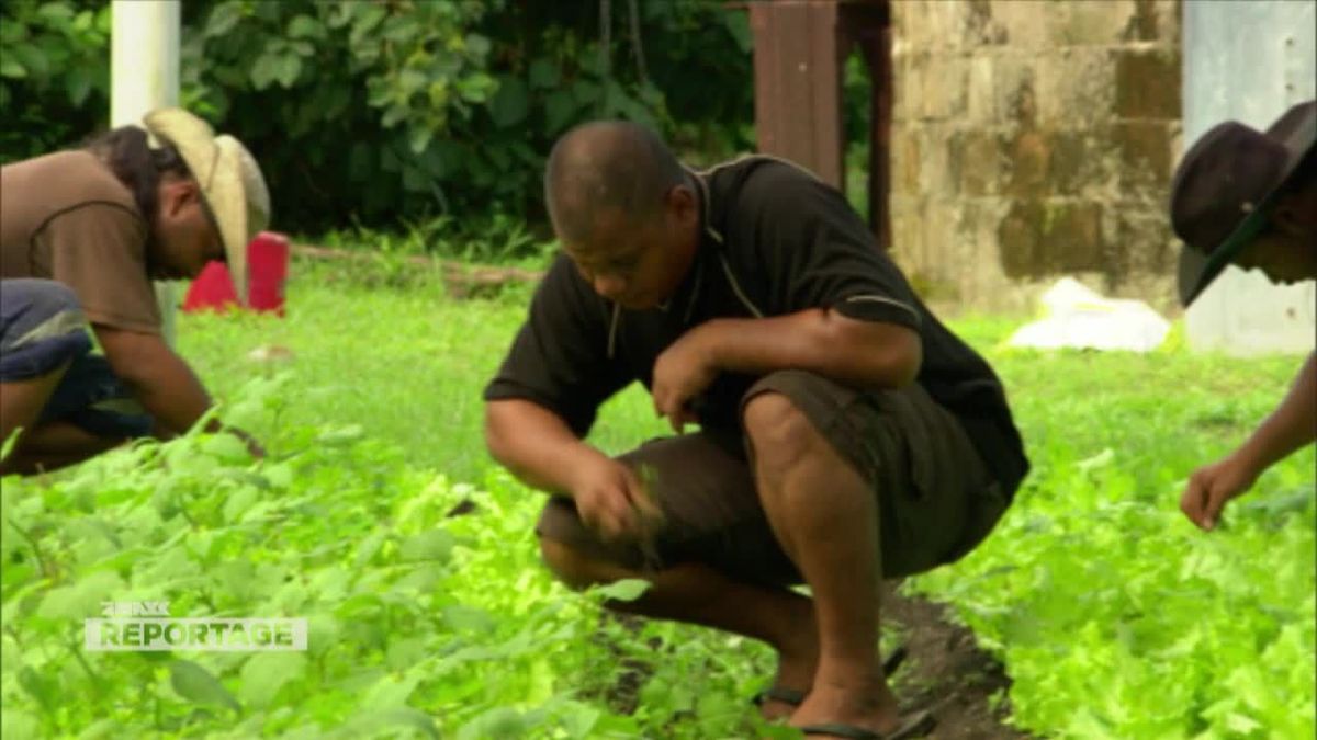 ProSieben Maxx Reportage