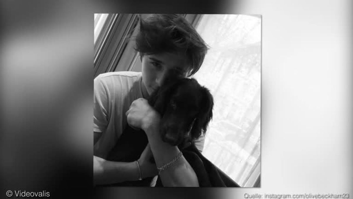 Olive Beckham ist jetzt online