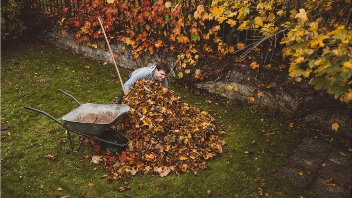 Gartenarbeit im Herbst: Diese Aufgaben sollte man jetzt erledigen
