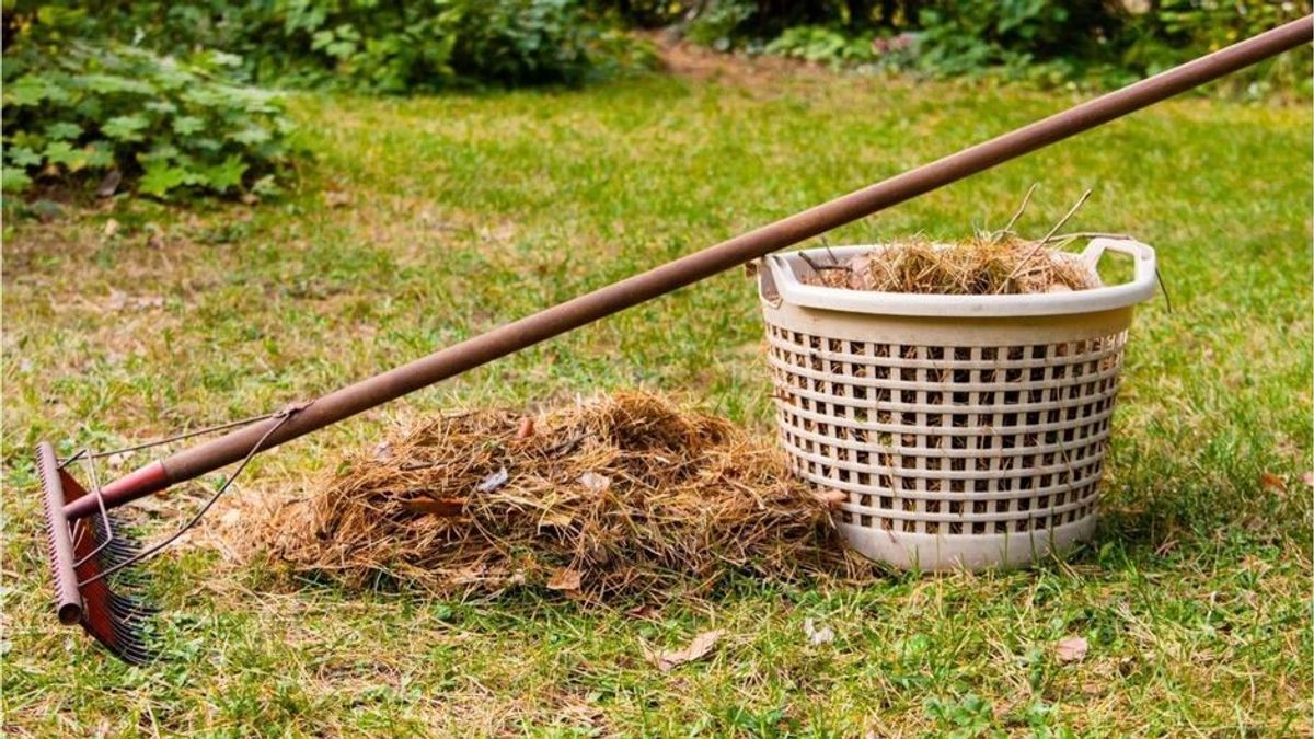 So entsorgt man Gartenabfälle richtig