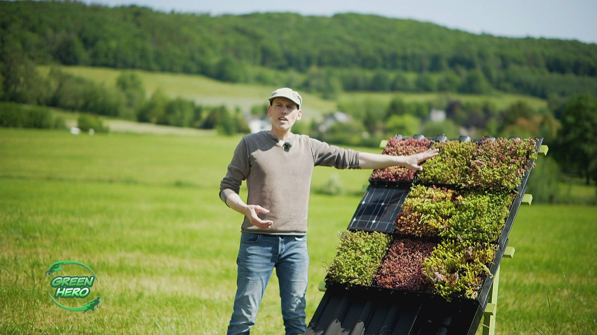 Mygreentop: Begrünte Schrägdächer für Natur und Umwelt