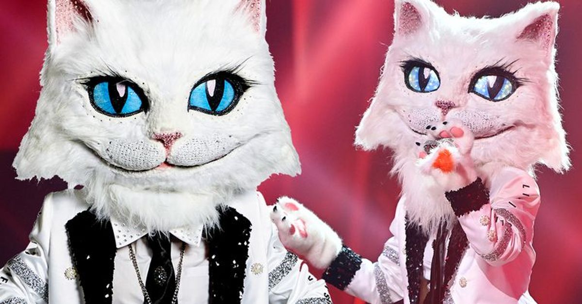 "The Masked Singer": Alle Infos zur Katze