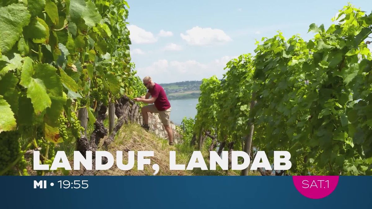 landuf, landab