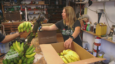 Bananendrama