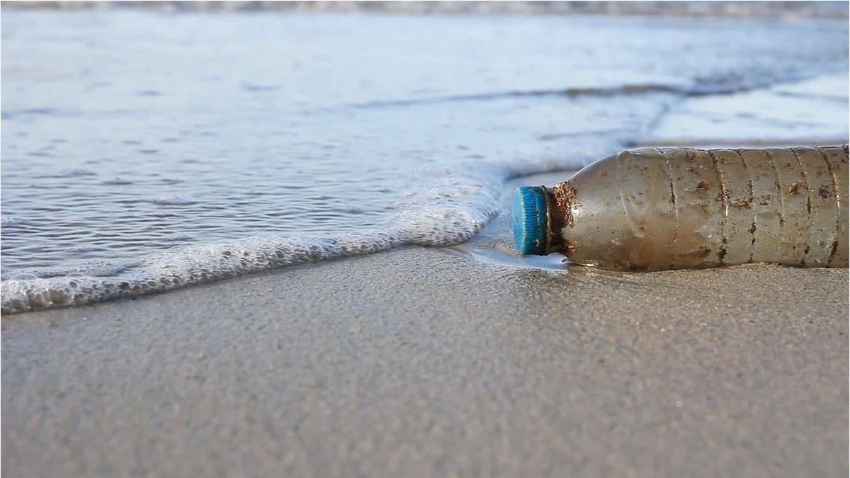 Moment mal: Woher wissen wir, dass Plastik erst in hunderten Jahren abgebaut wird? &#61762;