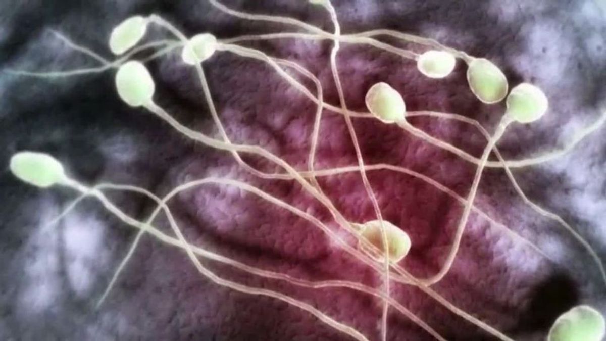Mit diesen 3 Tricks hältst du dein Sperma fit