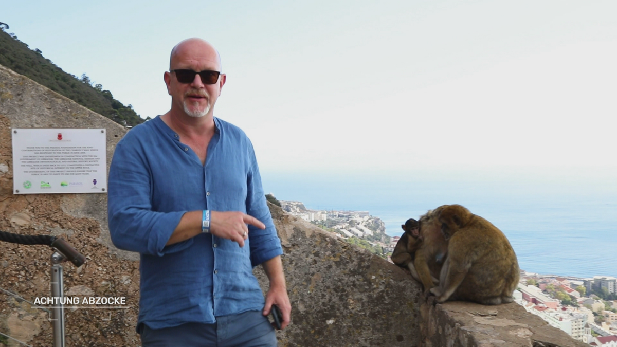 Bergtour ohne Gipfel: Dreiste Taxi-Touren auf den Felsen von Gibraltar