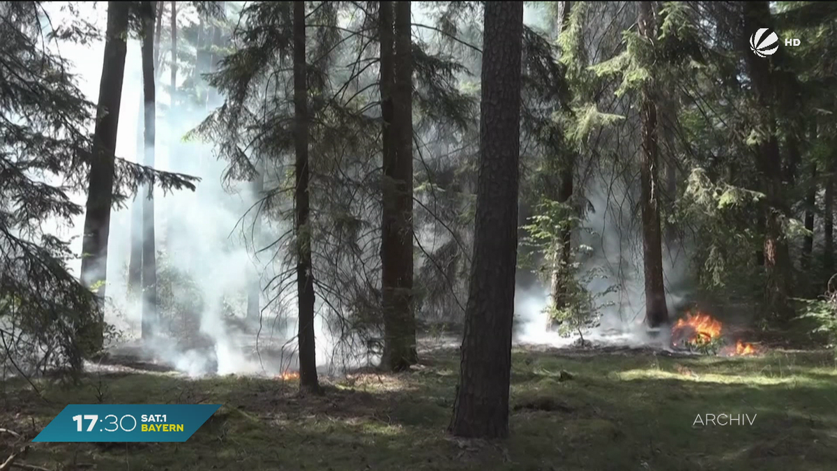 Waldbrandgefahr in Bayern: Trockenheit und Sonne steigern Risiko