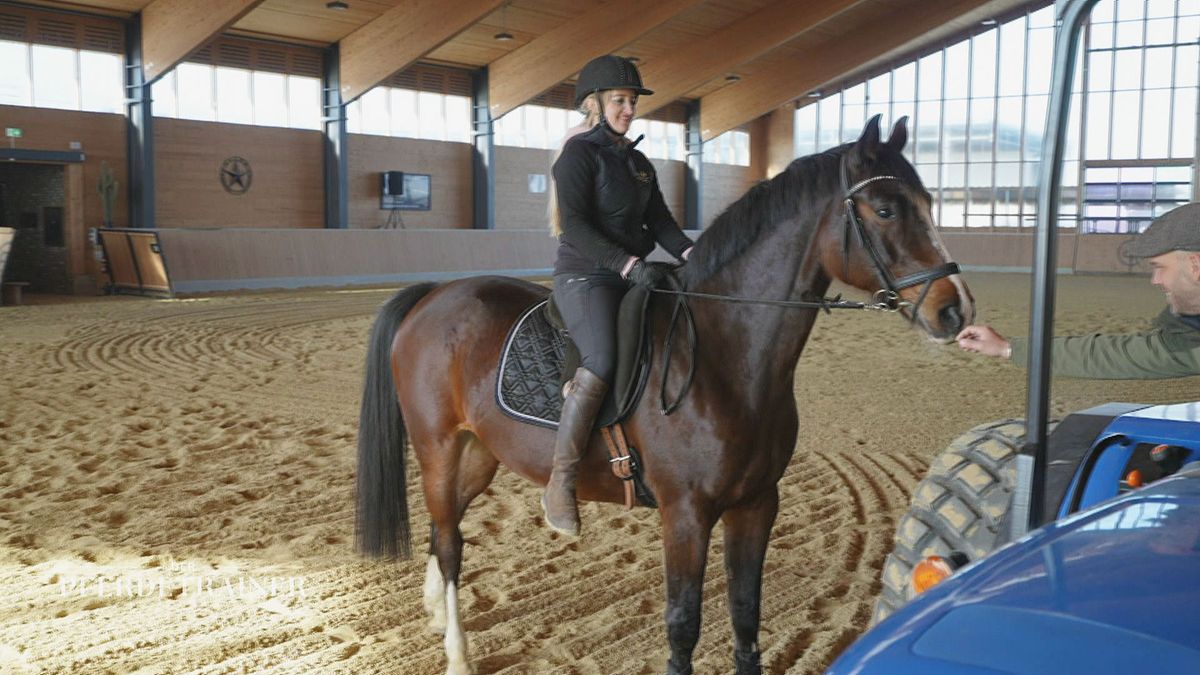 Schrecktraining mit Calimero 