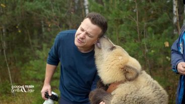 Galileo Plus: Couchgorilla und Stubentiger