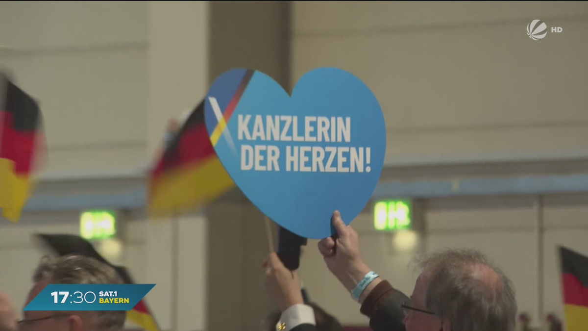 Kontroverse Positionen zur Wahl: Was sind die Ziele der AfD?