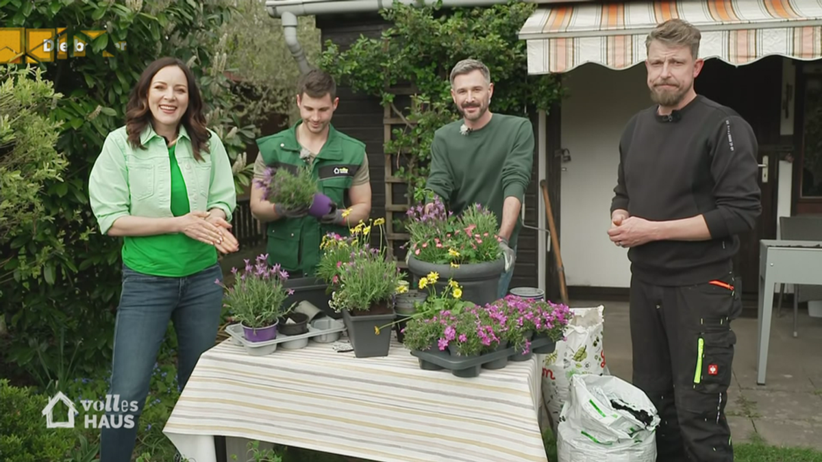 Die besten Tricks für einen schönen und bunten Garten