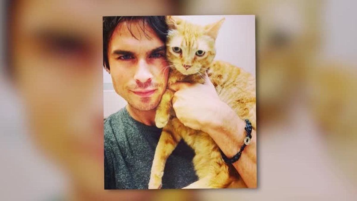 Darum ist Ian Somerhalder ein echter Traummann