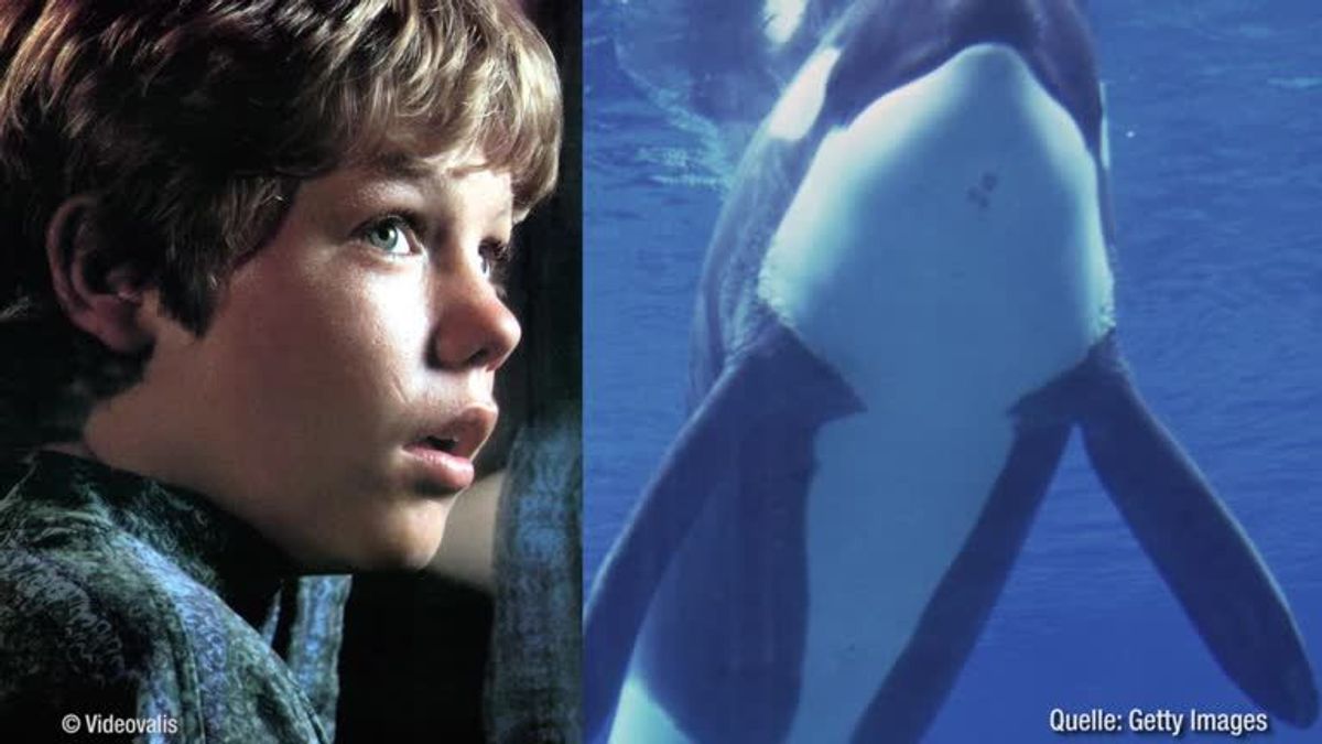 Was wurde eigentlich aus den "Free Willy" Stars