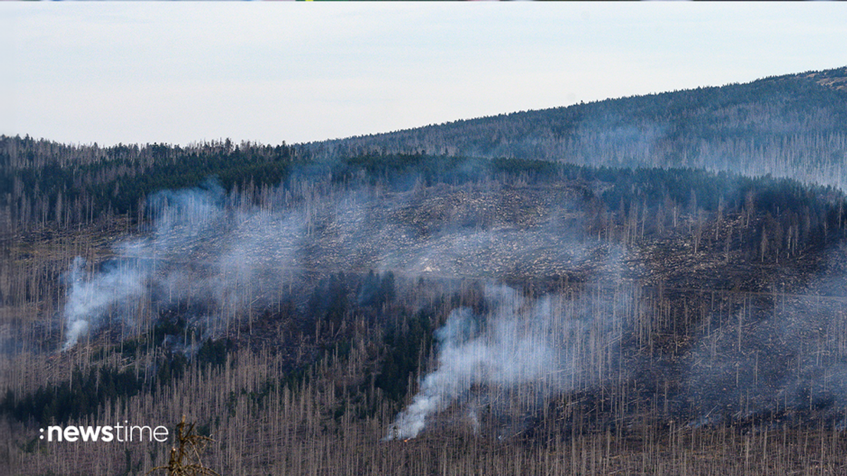 Feuer am Brocken im Harz: Brandstiftung nicht ausgeschlossen