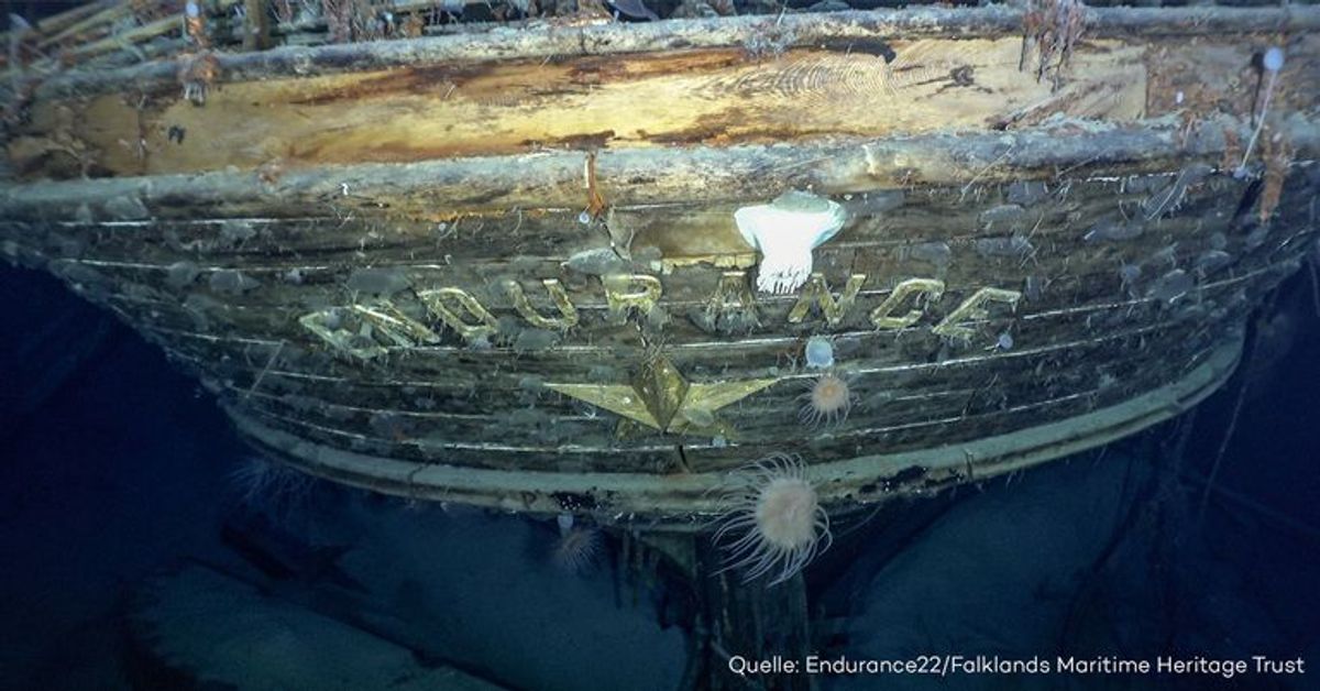 Über 100 Jahre nach Untergang: Gesunkenes Shackleton-Schiff "Endurance" gefunden