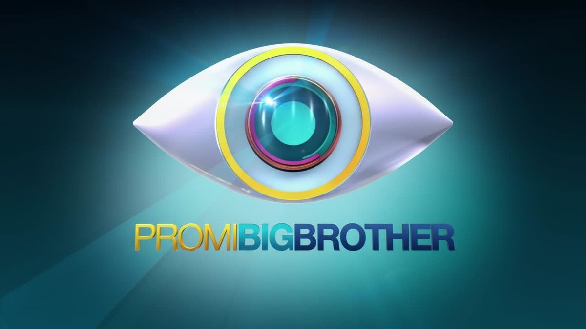 Promi Big Brother - Witt Vorstellung