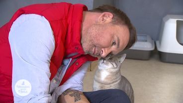 Verschmustes Kater-Duo sucht liebe Menschen