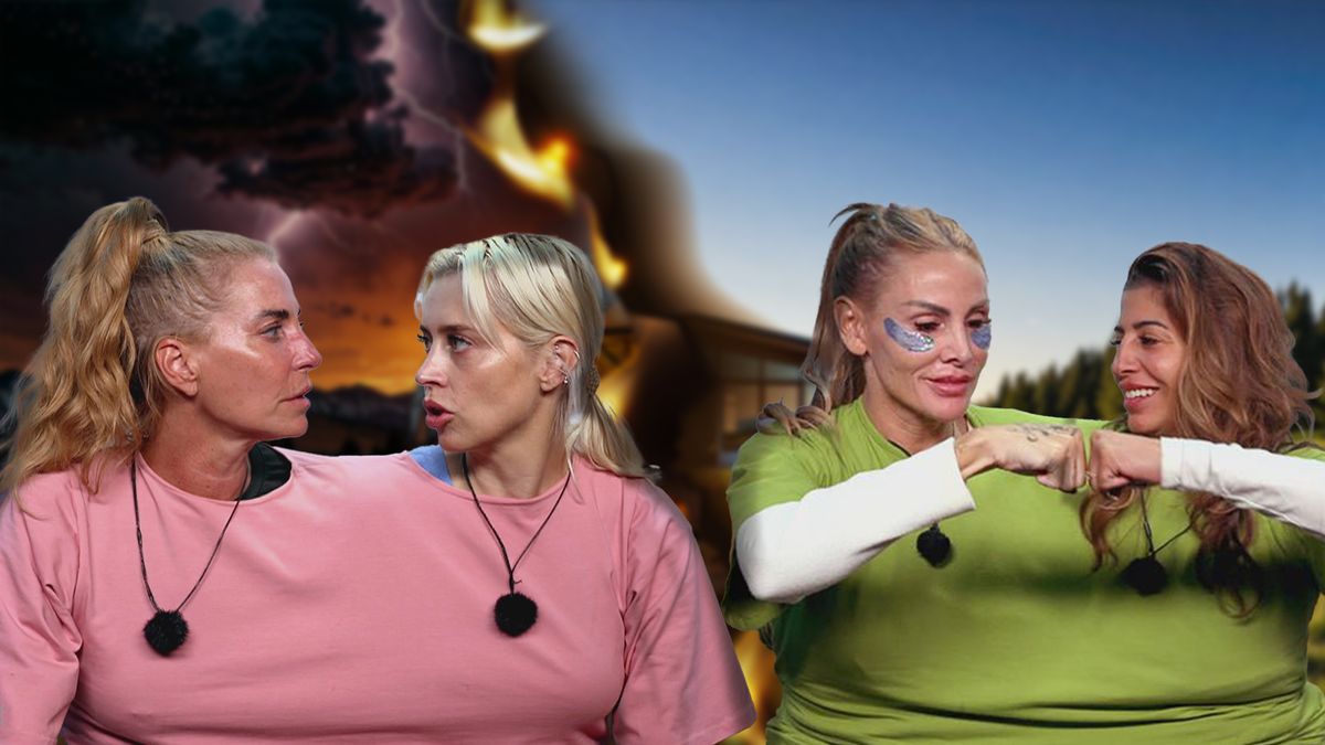 Feinde oder Freunde?