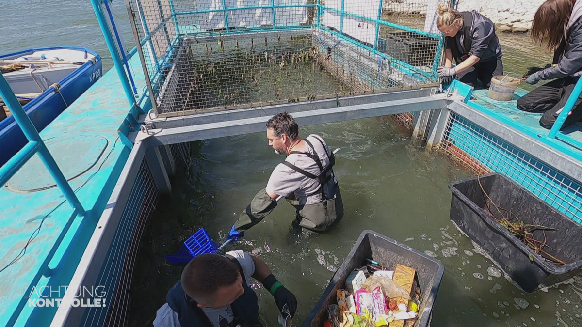 Rheinplastik – Die KRAKE Köln