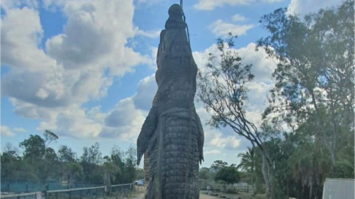 Gruselig: OP-Stahlplatte eines Menschen in Krokodil-Magen gefunden