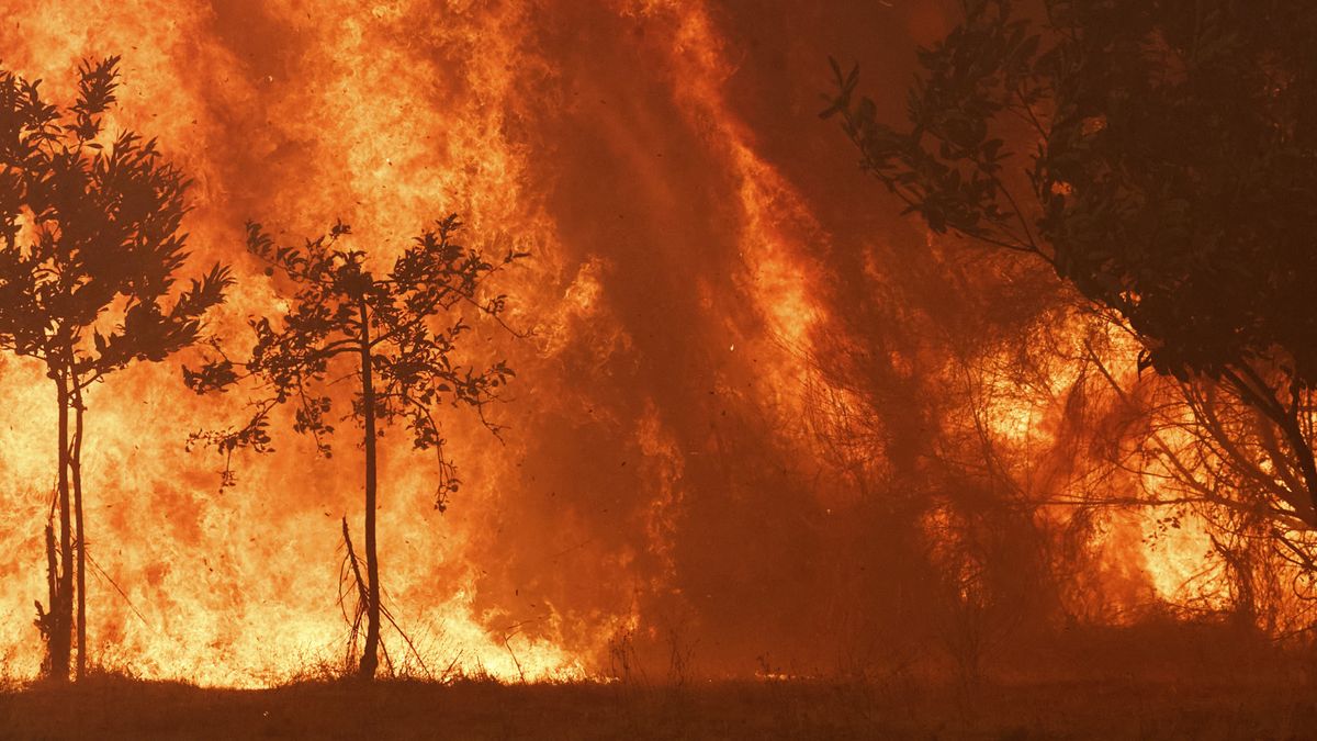 Spanien: Schlimmstes Feuer seit 20 Jahren