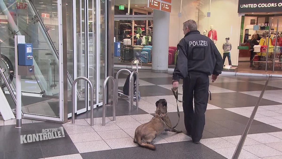 Achtung Kontrolle! Einsatz für die Ordnungshüter