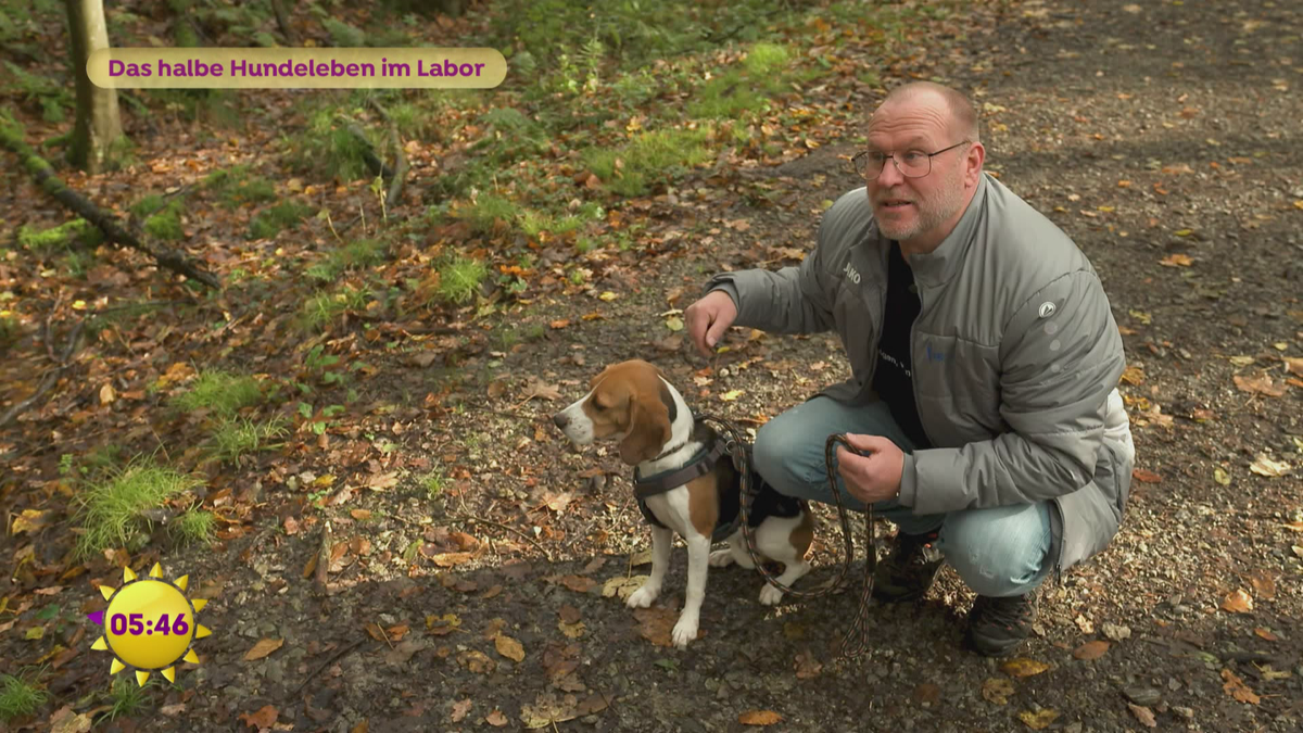 Das halbe Hundeleben im Labor