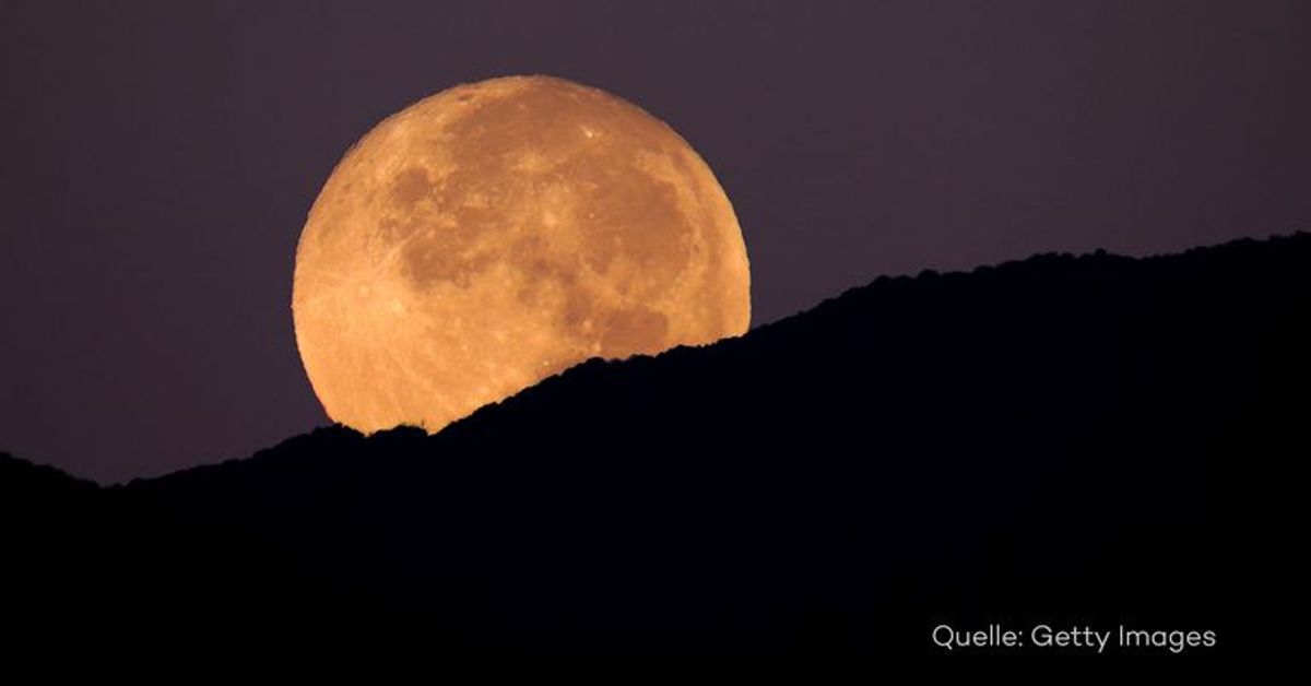 Hobby-Astronomen aufgepasst: Am 19. Februar könnt ihr den Supermond bestaunen