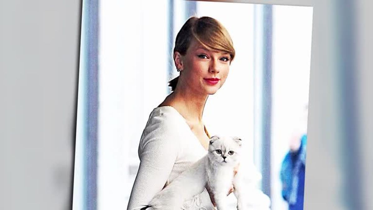 stars_taylorswiftsuchtnichtmehrnachdergrossenliebe_ST1412235543_HDwide25