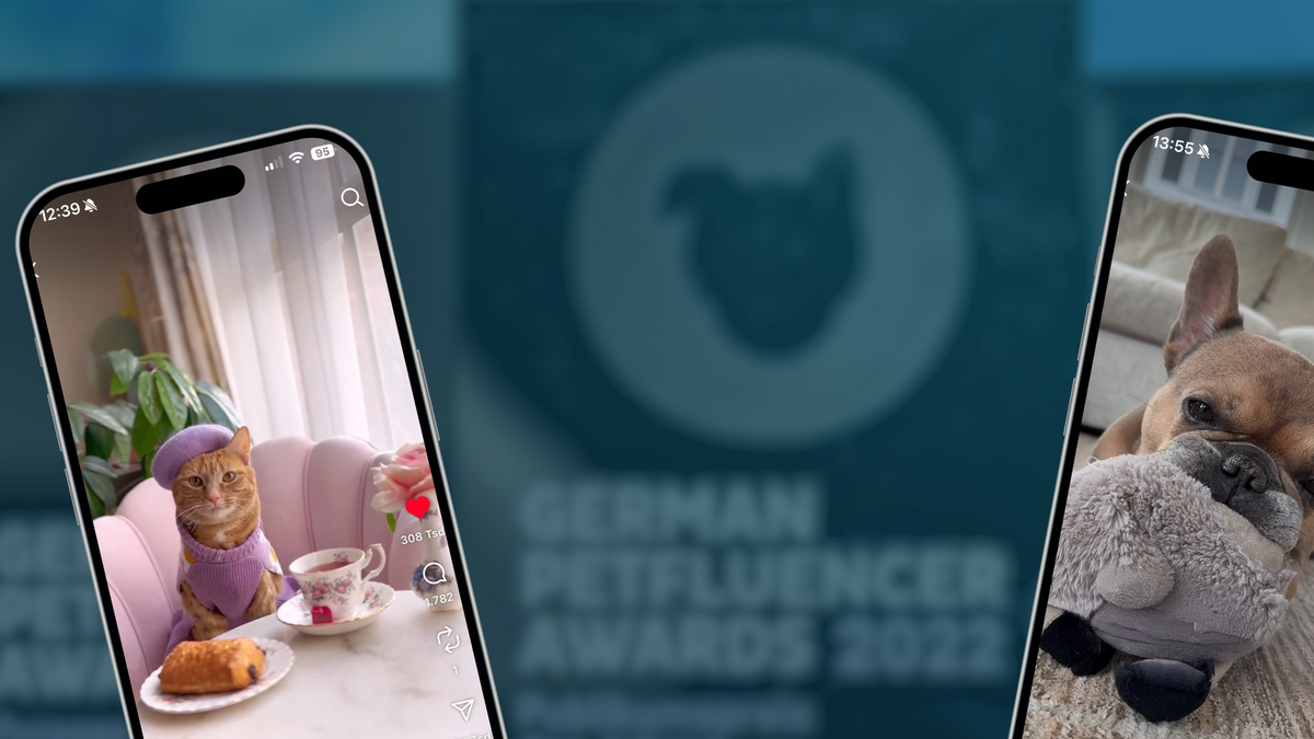 Pet-Fluencer: Mit Tieren Geld verdienen