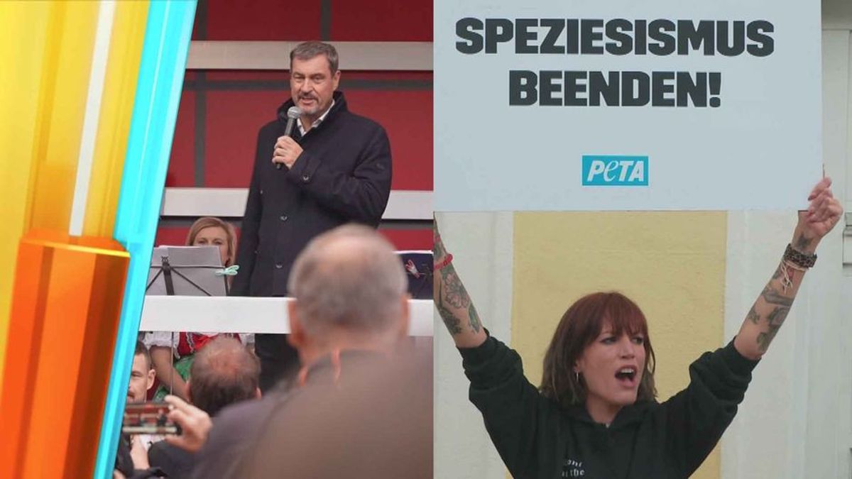 Söder gegen PETA: Aufregung um Schweinefest im bayerischen Wald