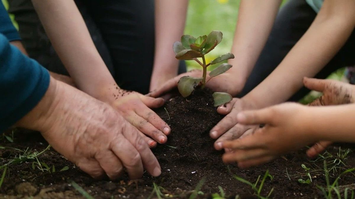 Tipps für Heimwerken und Gartenarbeit trotz geschlossener Baumärkte