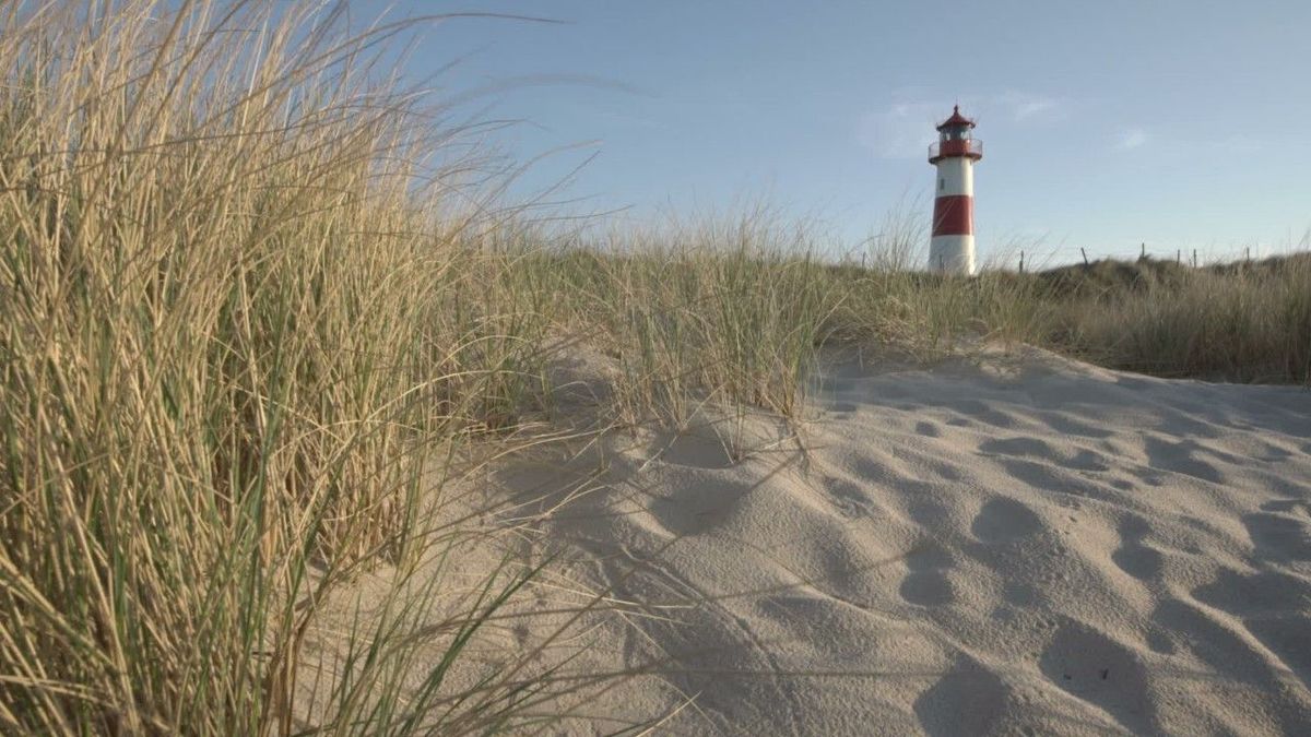 Dünen- und Strandabschnitt auf Sylt zu verkaufen