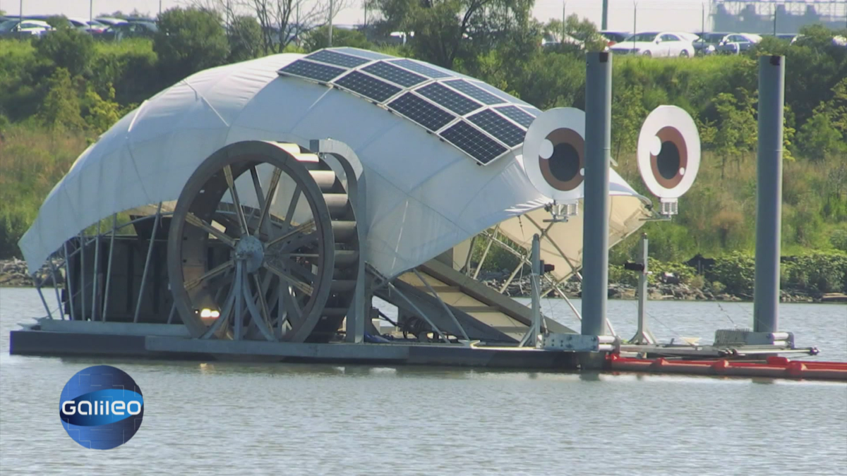 Green Hero: Mr. Trash Wheel säubert den Fluss