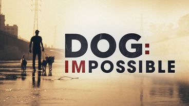 Vorschaubild Dog Impossible - Zweite Chance für Hunde - Angsttherapie