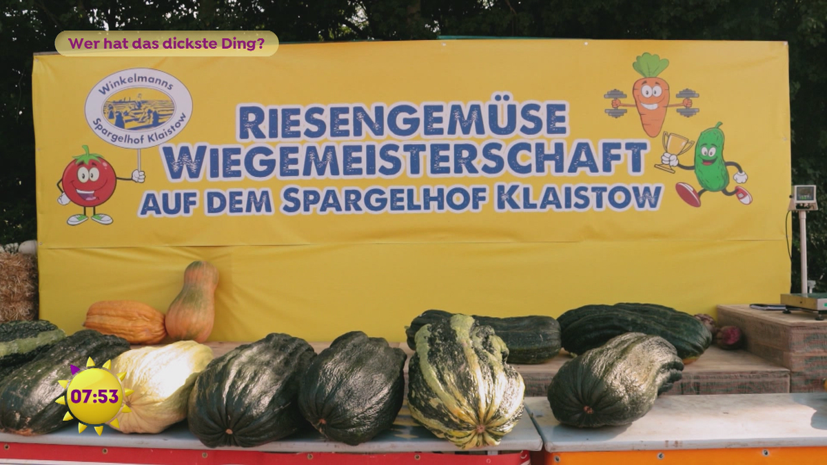 Gemüse-WM: Wer hat die dicksten Dinger?
