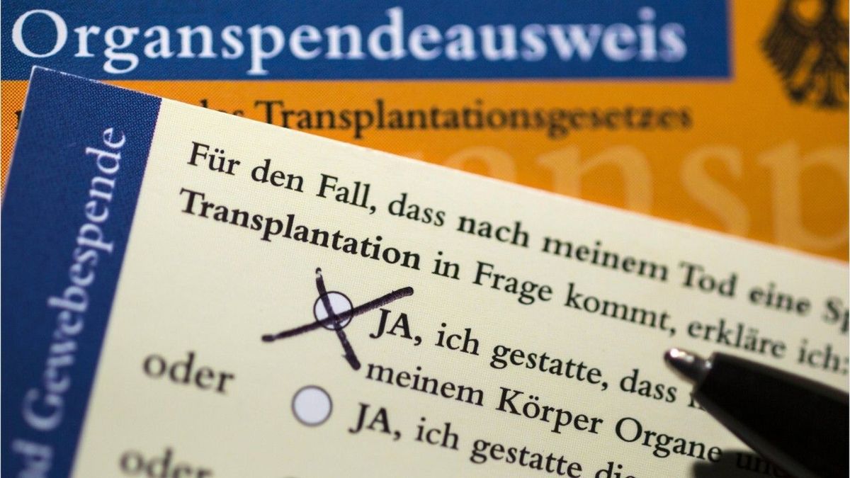 Weniger Organspenden: So will Lauterbach gegensteuern