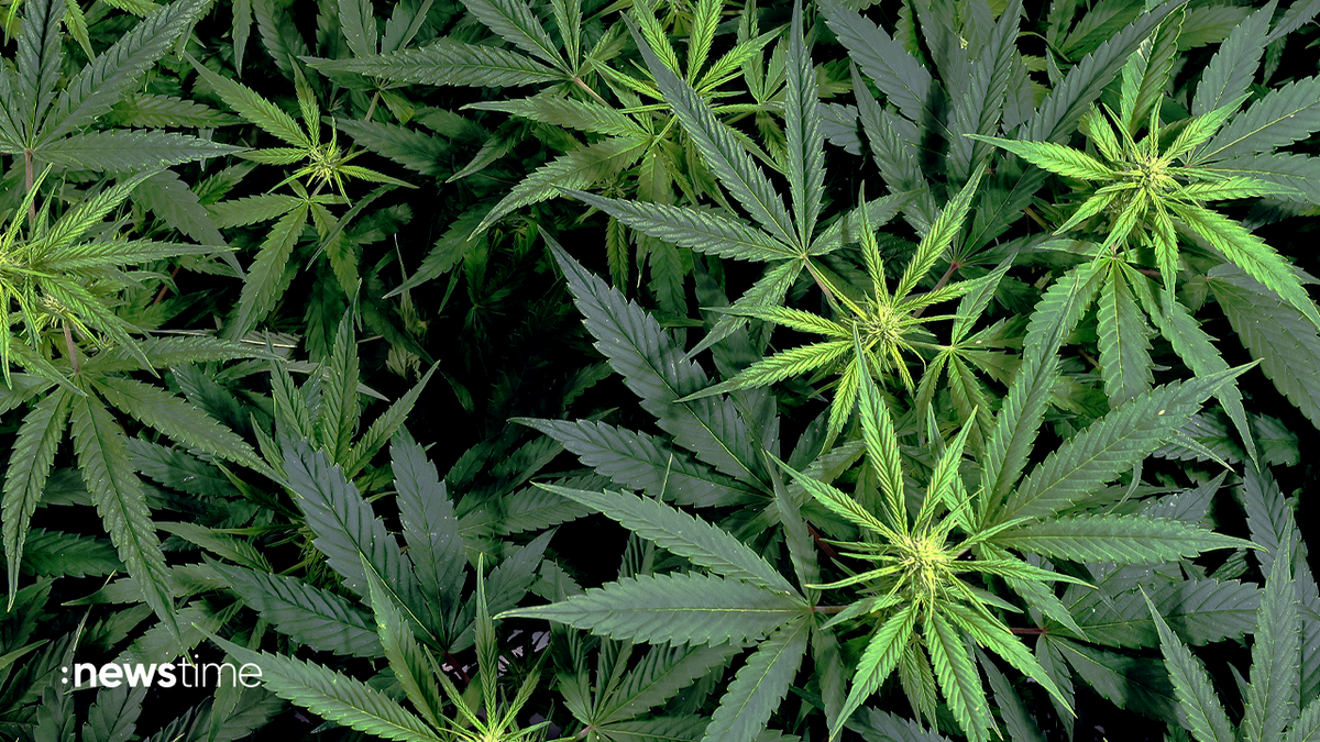 "Mary Jane" in Berlin erwartet 60.000 Besucher