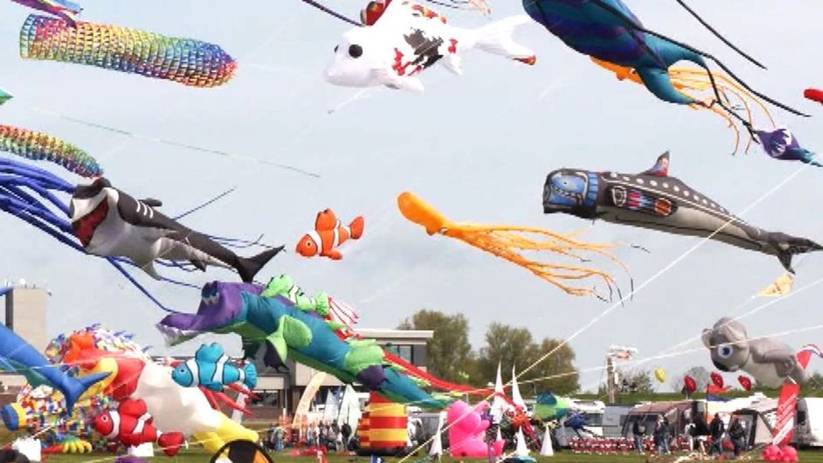 Drachenfest am Himmel über Ostfriesland