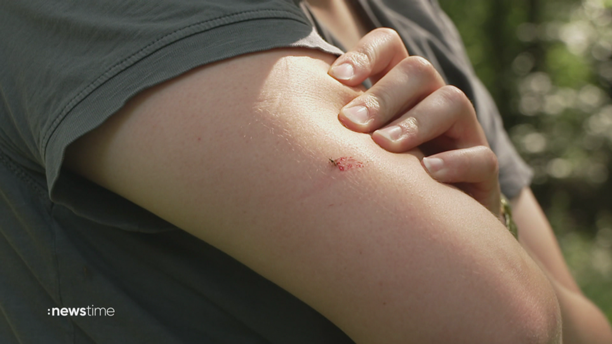 Mückenplage in Deutschland: Jetzt werden die Mückensprays knapp