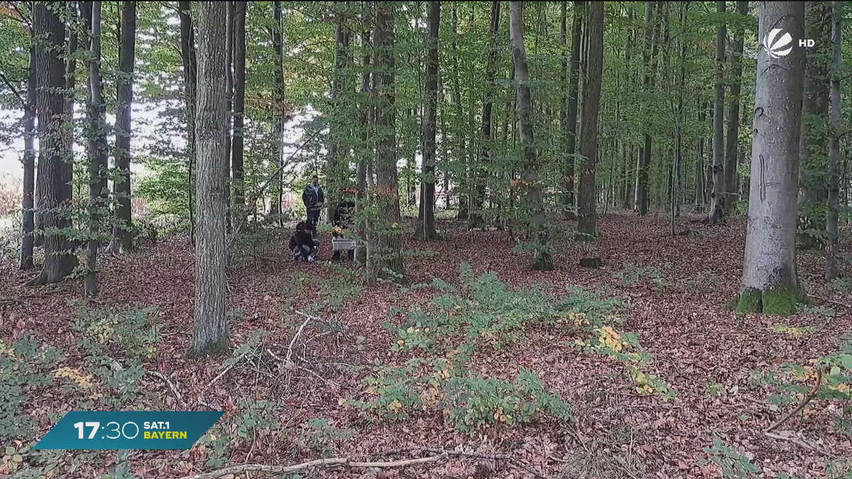 Entwarnung nach Knochenfund in Fürstenzell: Keine menschlichen Überreste